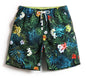 Men’s Tropical Print Swim Shorts – Quick-Dry Beach Board Shorts